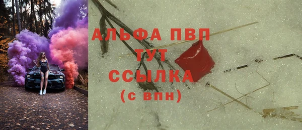 гидра Алексеевка