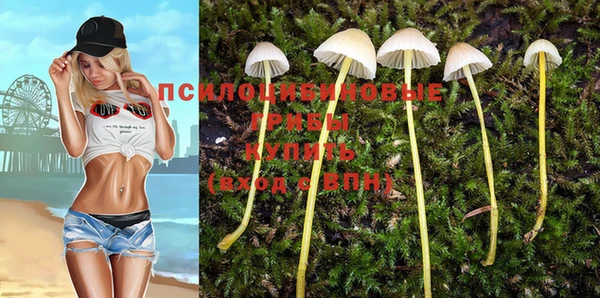 гидра Алексеевка