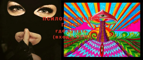 тгк Алзамай