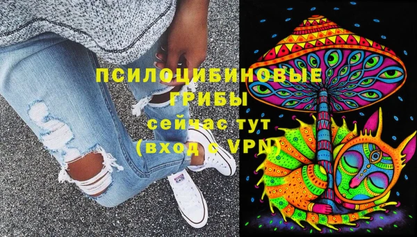 гидра Алексеевка